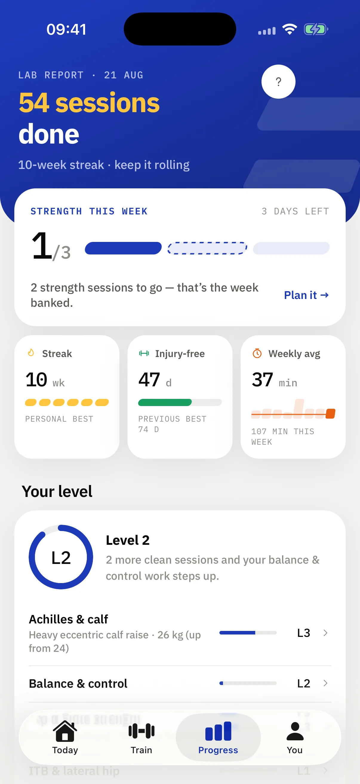Progress: sessions done, streak, injury-free days and the 12-week load chart.